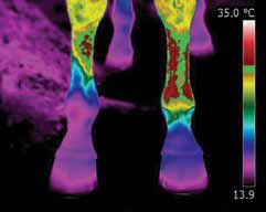 กล้องถ่ายภาพความร้อน Flir